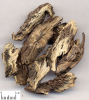 China Uniflower swisscentaury root extract - China Supplier China Uniflower swisscentaury root extract - China Supplier
