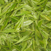 China EGCG - China Supplier