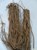 China Glycyrrhetinic acid extract powder - China Supplier China Glycyrrhetinic acid extract powder - China Supplier