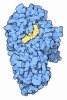 China diastase - China Supplier