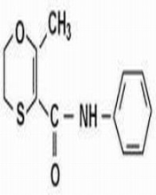 China Carboxin - China Supplier