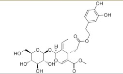 China China Olive Leaf Extract - China Supplier China China Olive Leaf Extract - China Supplier