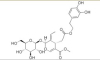 China China Olive Leaf Extract - China Supplier China China Olive Leaf Extract - China Supplier