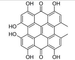 China China St John’s Wort Extract - China Supplier China China St John’s Wort Extract - China Supplier
