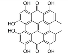 China China St John’s Wort Extract - China Supplier