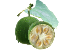 China China Luo Han Guo Extract - China Supplier