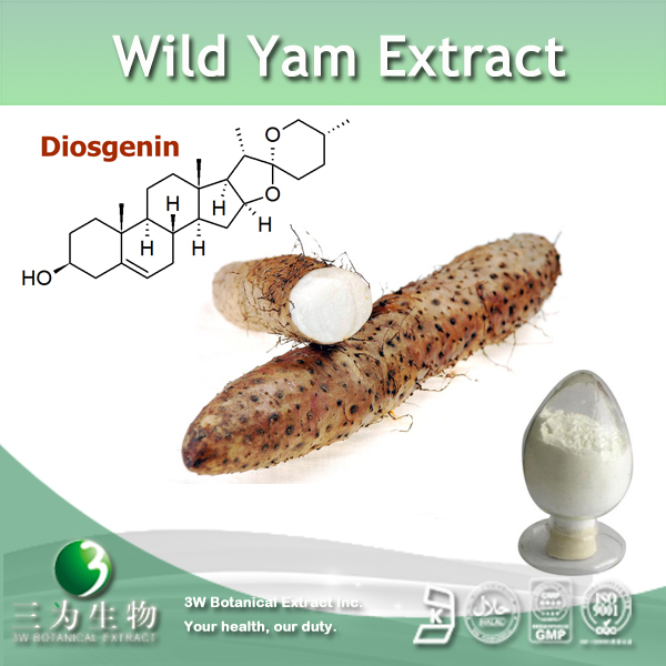 China High Quality Wild Yam Extract - China Supplier China High Quality Wild Yam Extract - China Supplier