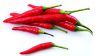 China Supercritical paprika oleoresin - China Supplier China Supercritical paprika oleoresin - China Supplier