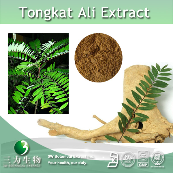 China Tongkat Ali Extract - China Supplier China Tongkat Ali Extract - China Supplier
