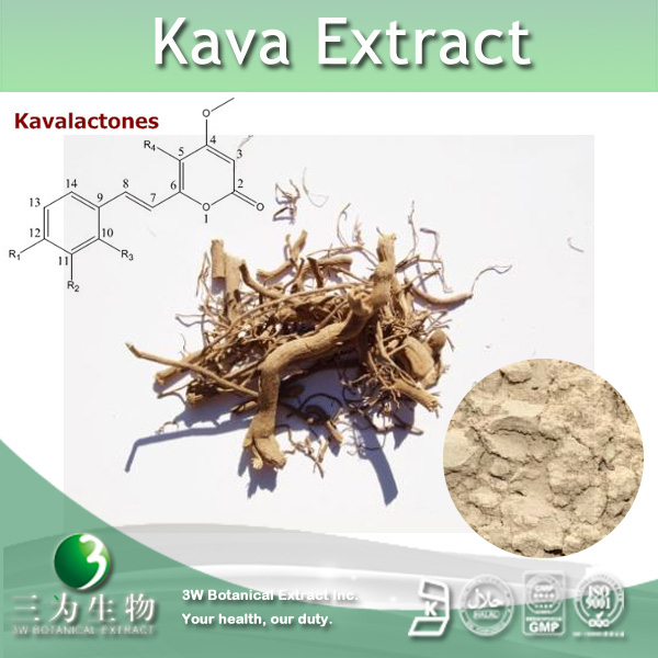 China Kava Extract - China Supplier China Kava Extract - China Supplier