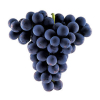 China China Grape Seed Extract - China Supplier