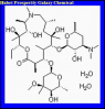 China Azithromycin dihydrate - China Supplier China Azithromycin dihydrate - China Supplier