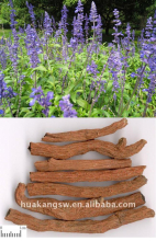 China Salvia extract,Salvia officinalis leaf extract - China Supplier