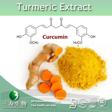 China Turmeric Extract - China Supplier