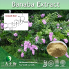 China Banaba Extract - China Supplier China Banaba Extract - China Supplier
