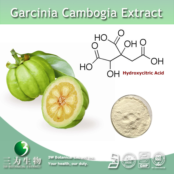 China Garcinia Cambogia Extract - China Supplier China Garcinia Cambogia Extract - China Supplier