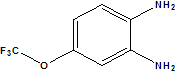 China 4-(Trifluoromethoxy)benzene-1,2-diamine - China Supplier China 4-(Trifluoromethoxy)benzene-1,2-diamine - China Supplier