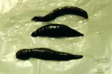 China hirudex - China Supplier