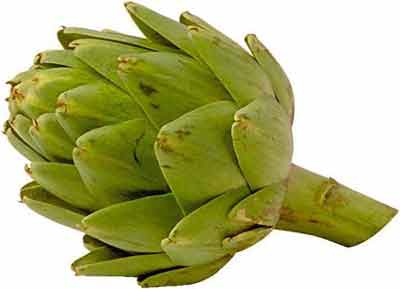 China Artichoke Extract - China Supplier China Artichoke Extract - China Supplier