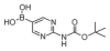 China [2-[(tert-Butoxycarbonyl)amino]pyrimidin-5-yl]boronicacid - China Supplier