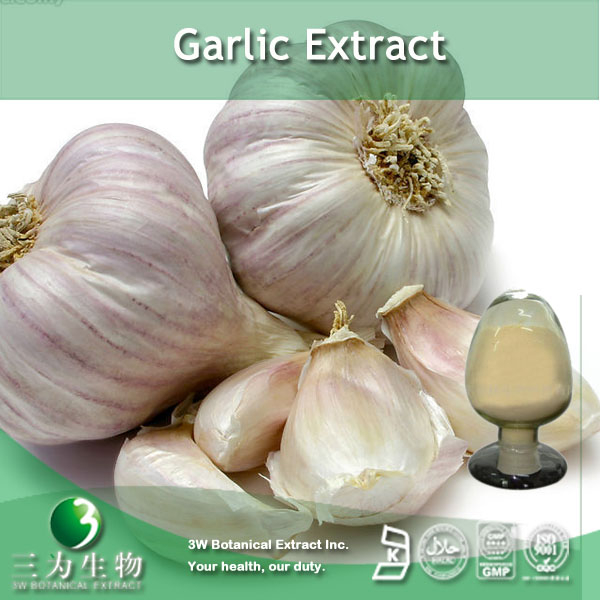 China Garlic Extract - China Supplier China Garlic Extract - China Supplier