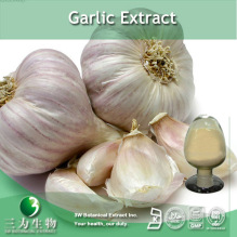 China Garlic Extract - China Supplier