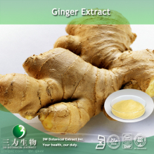 China Water Soluble Gingerol - China Supplier