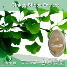 China Ginkgo Extract - China Supplier