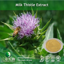 China Milk Thistle Extract - China Supplier
