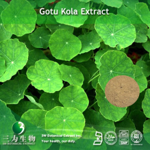 China Gotu Kola Extract - China Supplier