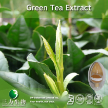China Green Tea Extract - China Supplier
