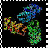 China  - China Supplier