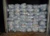 China Galatosidase - China Supplier China Galatosidase - China Supplier