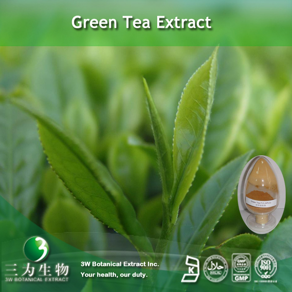 China Theanine - China Supplier China Theanine - China Supplier