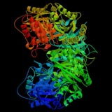 China  - China Supplier