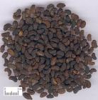 China Ligustrum lucidum extract - China Supplier China Ligustrum lucidum extract - China Supplier