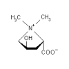 China Betonicine - China Supplier China Betonicine - China Supplier