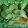 China Mulberry Leaf Extract - China Supplier China Mulberry Leaf Extract - China Supplier