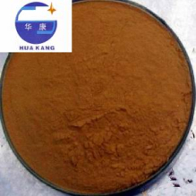 China Sarcandra glabra(thunb.)nakai extract powder - China Supplier