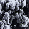 China Zinc sulfide - China Supplier China Zinc sulfide - China Supplier