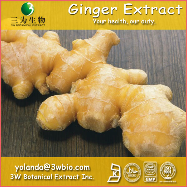 China Zingiber officinale Extract - China Supplier