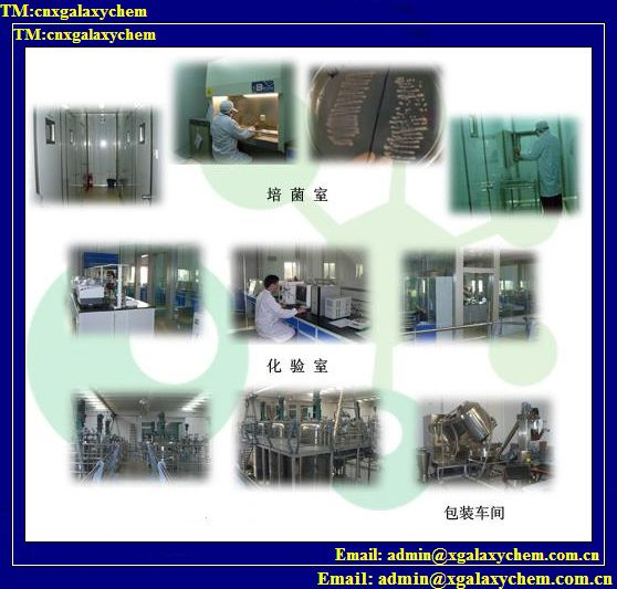 China beta-Carotene - China Supplier China beta-Carotene - China Supplier