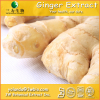 China Ginger Root Extract - China Supplier