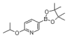 China 2-Isopropoxypyridine-5-boronicacidpinacolester - China Supplier China 2-Isopropoxypyridine-5-boronicacidpinacolester - China Supplier