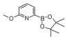 China 6-Methoxypyridine-2-boronicacidpinacolester - China Supplier China 6-Methoxypyridine-2-boronicacidpinacolester - China Supplier