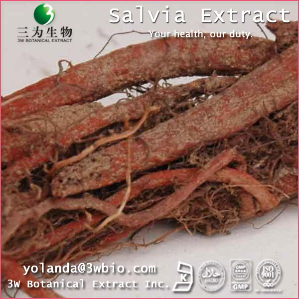 China Danshen Extract - China Supplier