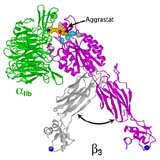 China Fibrinogen - China Supplier