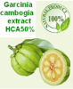 China Garcinia Cambogia Extract - China Supplier China Garcinia Cambogia Extract - China Supplier