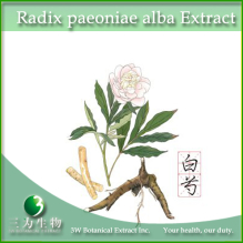 China Radix paeoniae alba Extract 10% Paeoniflorin HPLC - China Supplier