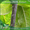 China Acanthopanax Extract - China Supplier China Acanthopanax Extract - China Supplier